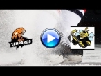 АМУРСКИЕ ЛЕОПАРДЫ VS ПЧЁЛЫ 27.03.2021 20:15 КЦХ Хабаровск