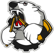 Хабаровские медведи