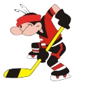 Снятие команды с Чемпионата