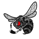 Обладатель Кубка Медведя 2019 - Свирепые Пчелы 2!