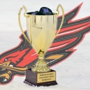 Обладатель Кубка Мечты 2019 - Феникс!