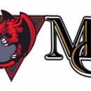 Аннулирование результата матча